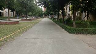 太阳成集团tyc33455