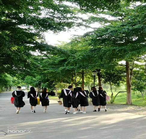 太阳成集团tyc33455